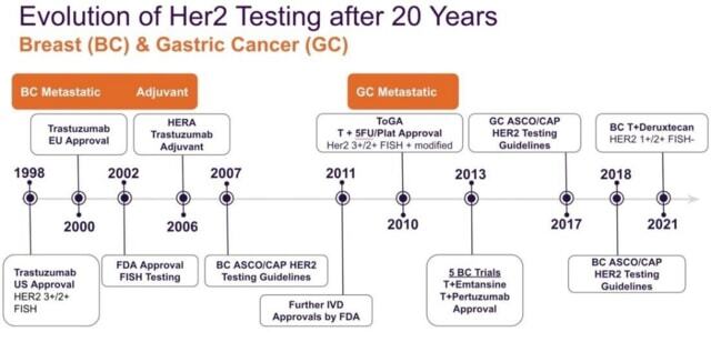 Her2 Testing Graphic